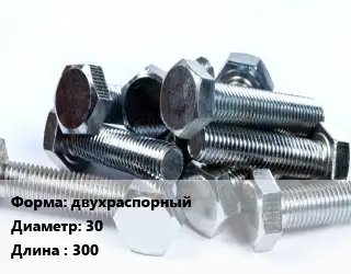 Болт двухраспорный 30х300